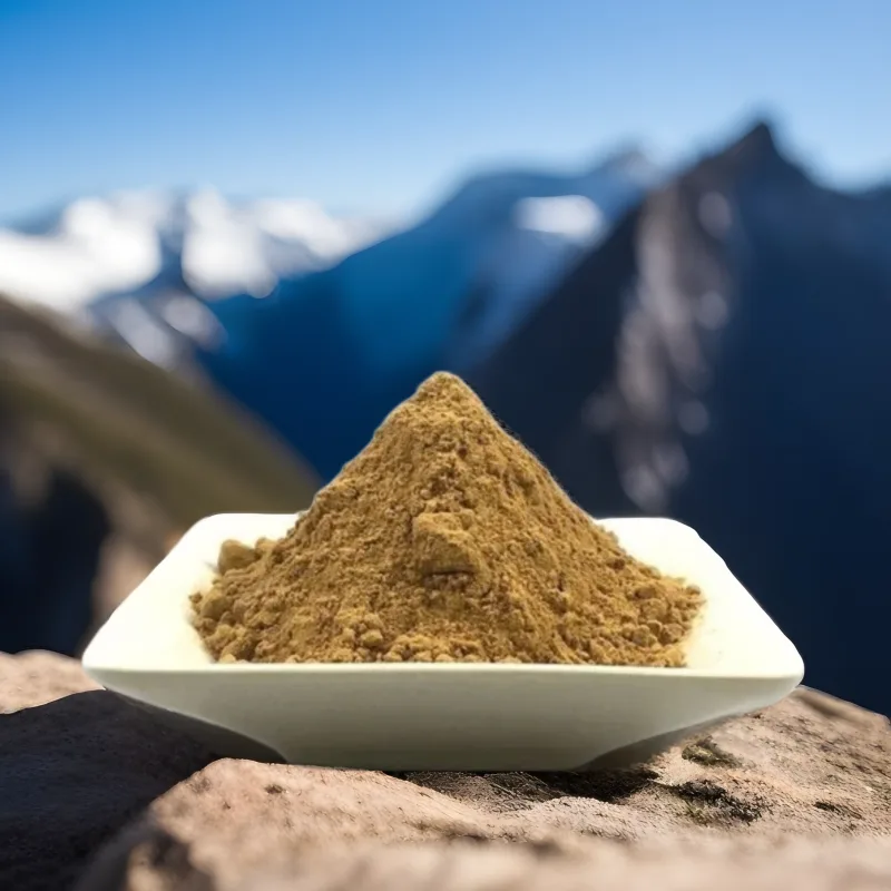 Shilajit Powder 1 Kilo
